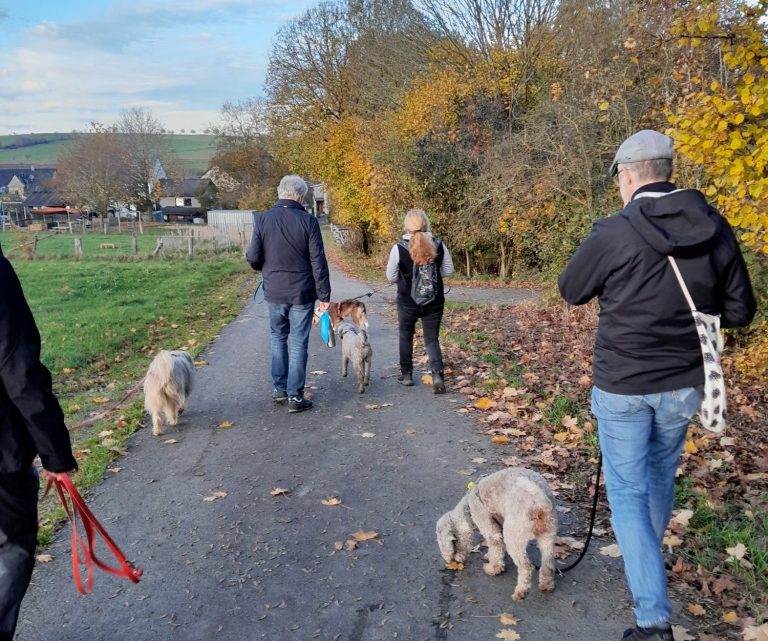 Vier Menschen spazieren mit drei Hunden auf einem Weg durch herbstliche Landschaft.