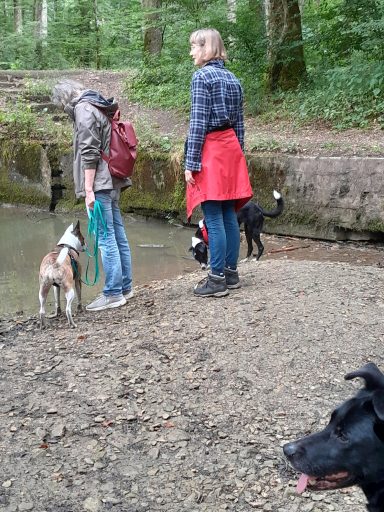 Zwei Personen stehen am Ufer eines Gewässers mit zwei Hunden. Bäume im Hintergrund.