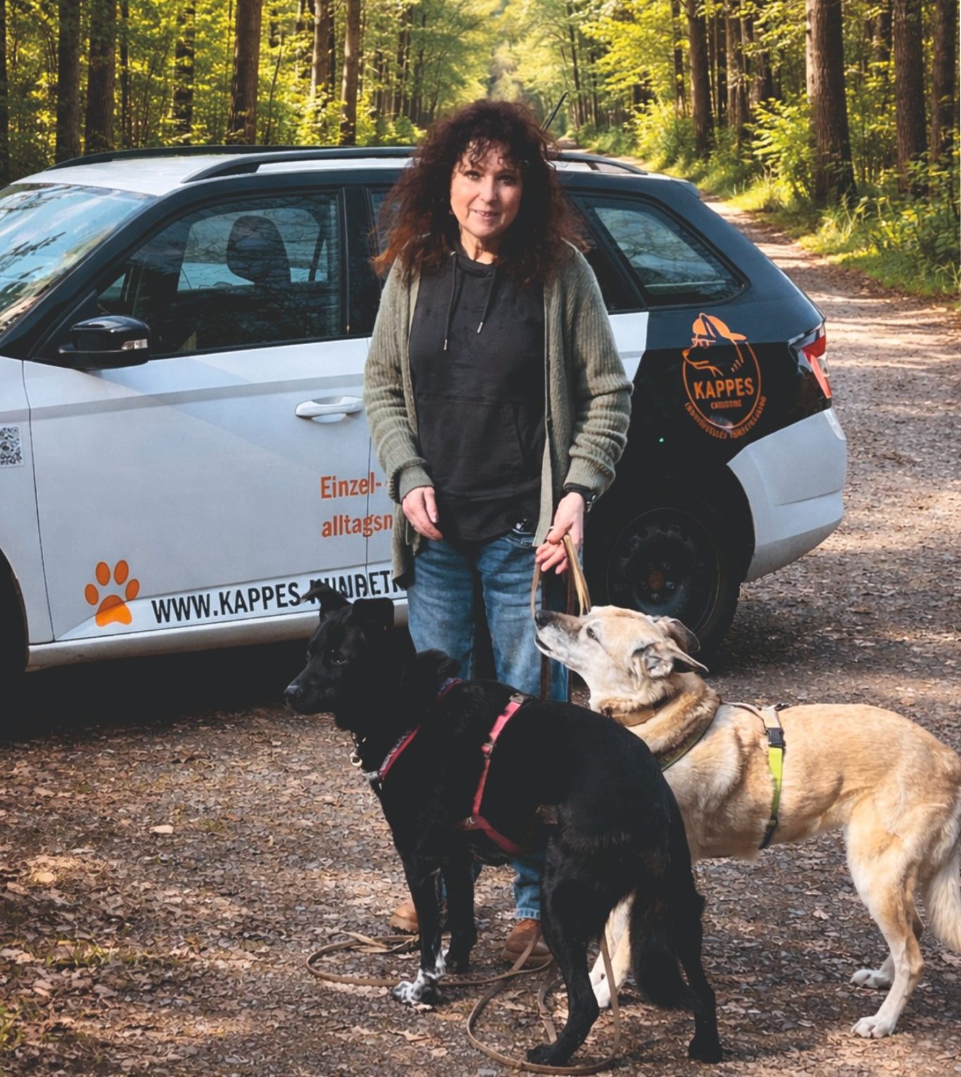 Hundetrainerin mit ihren Hunden Frau mit zwei Hunden auf einem sonnigen Waldweg im Herbst.
