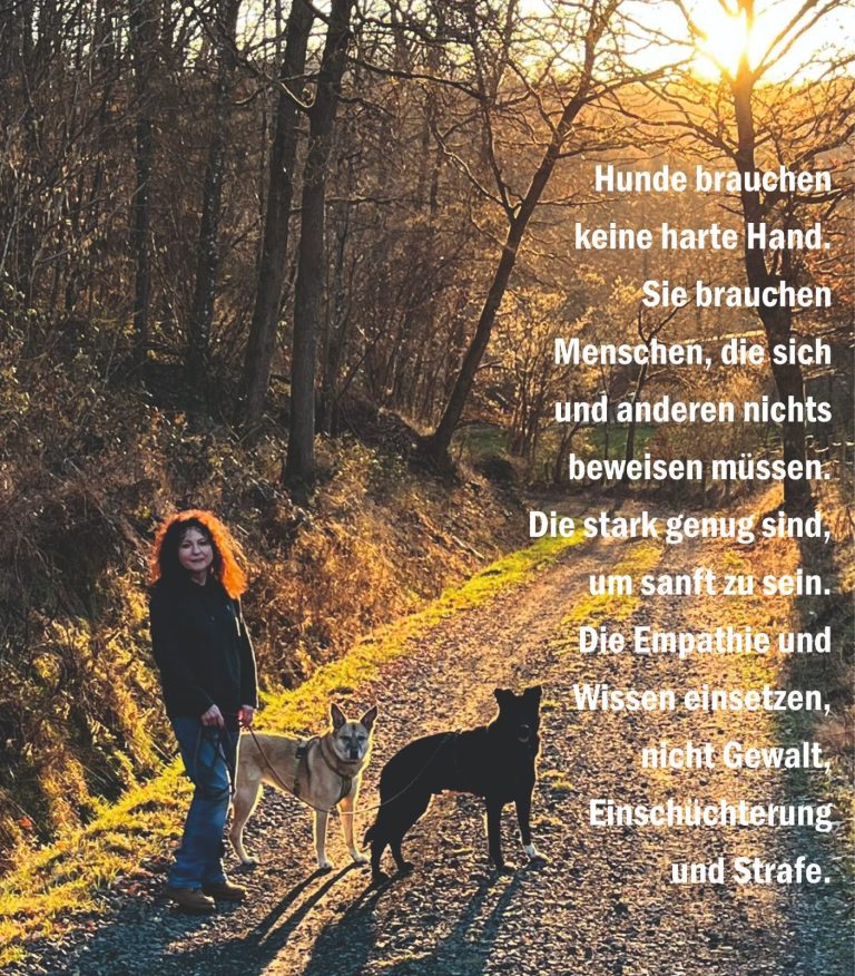 Hundetrainerin mit ihren Hunden Frau mit zwei Hunden auf einem sonnigen Waldweg im Herbst.