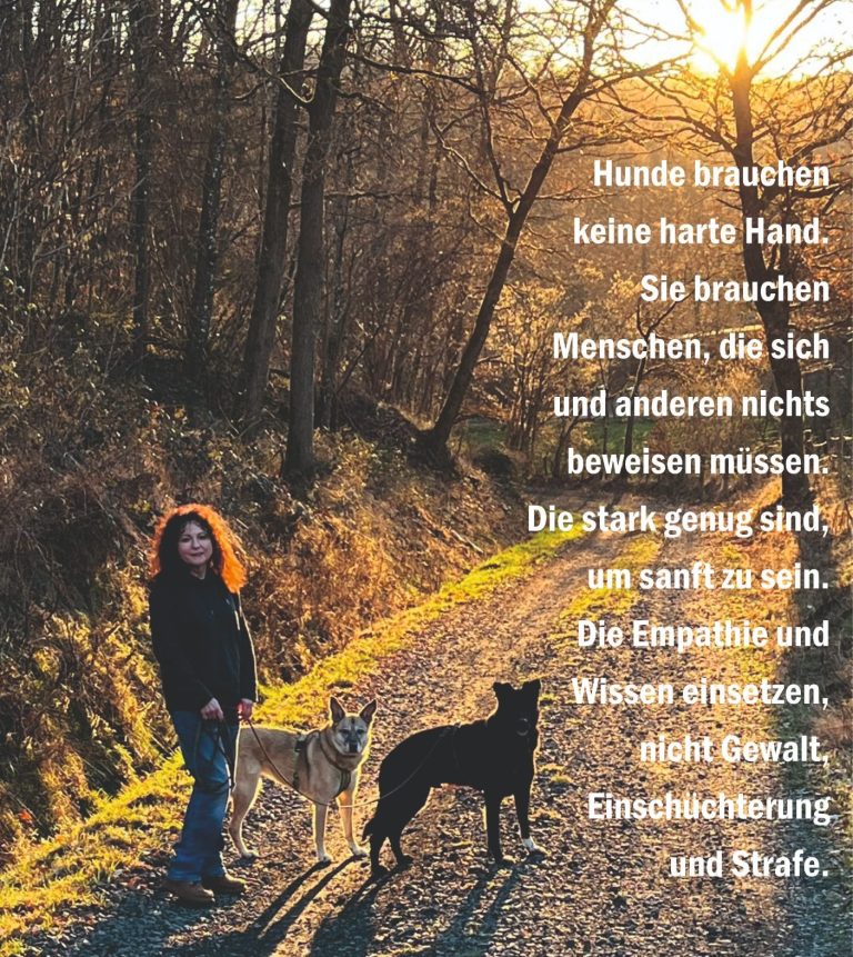 Frau mit zwei Hunden auf einem sonnigen Waldweg im Herbst.