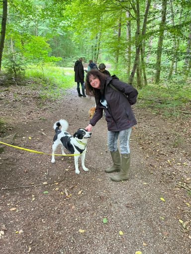 Eine Person streichelt einen Hund auf einem Waldweg, umgeben von Bäumen.