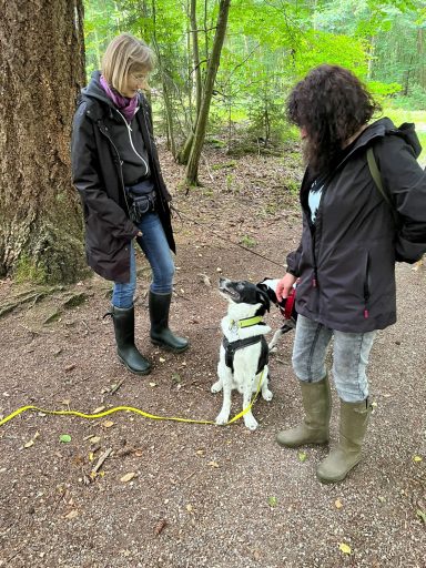 Zwei Personen in Gummistiefeln stehen neben einem Hund auf einem Waldweg.
